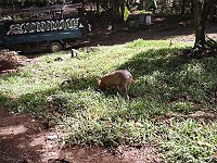 Foto 218